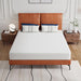 Forsythia 8" Queen Green Tea Gel Memory Foam - Furniture Stars (Chicago, IL)