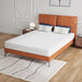 Forsythia 8" Queen Green Tea Gel Memory Foam - Furniture Stars (Chicago, IL)