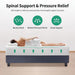 Forsythia Mattress - Furniture Stars (Chicago, IL)