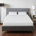 Artemisia 10" Memory Foam Mattress - Furniture Stars (Chicago, IL)