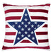 Texis Multi 20" X 20" Pillow - Furniture Stars (Chicago, IL)