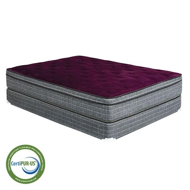 Purple/Grey 13" Euro Pillow Top Mattress Non-Flip, Full - Furniture Stars (Chicago, IL)