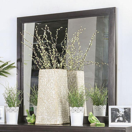Berenice Espresso Mirror - Furniture Stars (Chicago, IL)