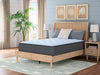 Destin Cove Plush Mattress - Furniture Stars (Chicago, IL)