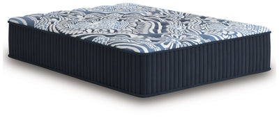 Firm Luxe 2.0 Mattress - Furniture Stars (Chicago, IL)