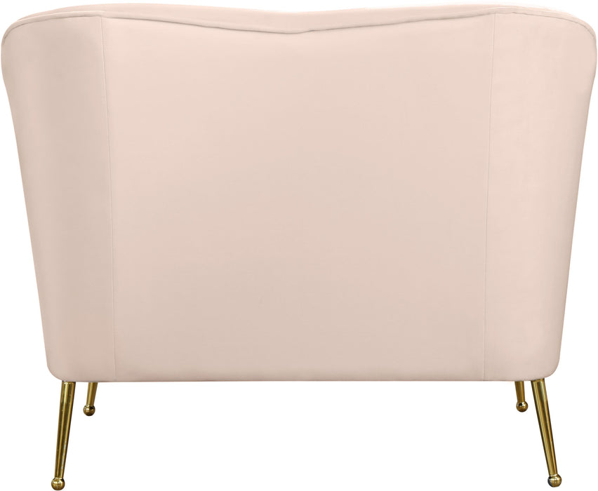 Hermosa Pink Velvet Chair - Furniture Stars (Chicago, IL)