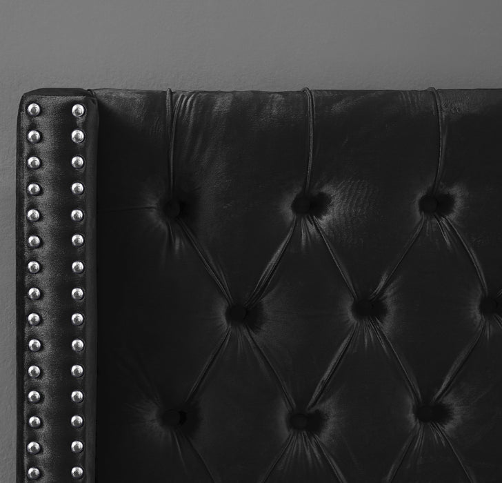 Aiden Black Velvet King Bed - Furniture Stars (Chicago, IL)