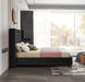 Barolo Black Velvet Queen Bed - Furniture Stars (Chicago, IL)