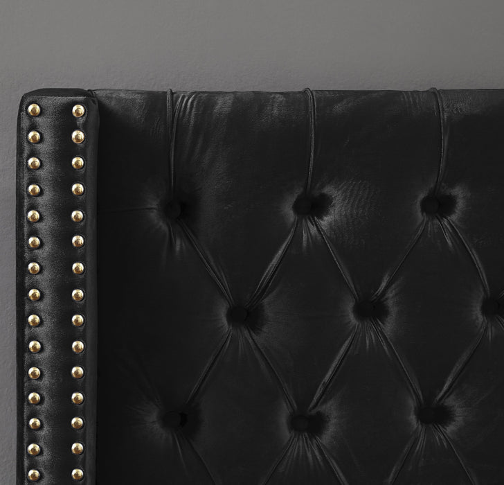 Barolo Black Velvet King Bed - Furniture Stars (Chicago, IL)