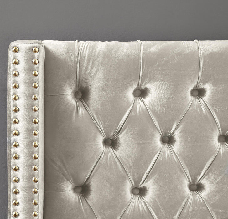 Barolo Cream Velvet Queen Bed - Furniture Stars (Chicago, IL)