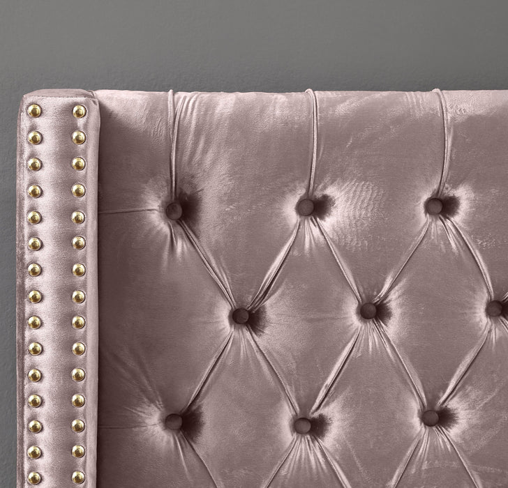 Barolo Pink Velvet Queen Bed - Furniture Stars (Chicago, IL)