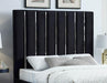 Enzo Black Velvet King Bed - Furniture Stars (Chicago, IL)