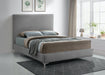 Geri Grey Velvet King Bed - Furniture Stars (Chicago, IL)