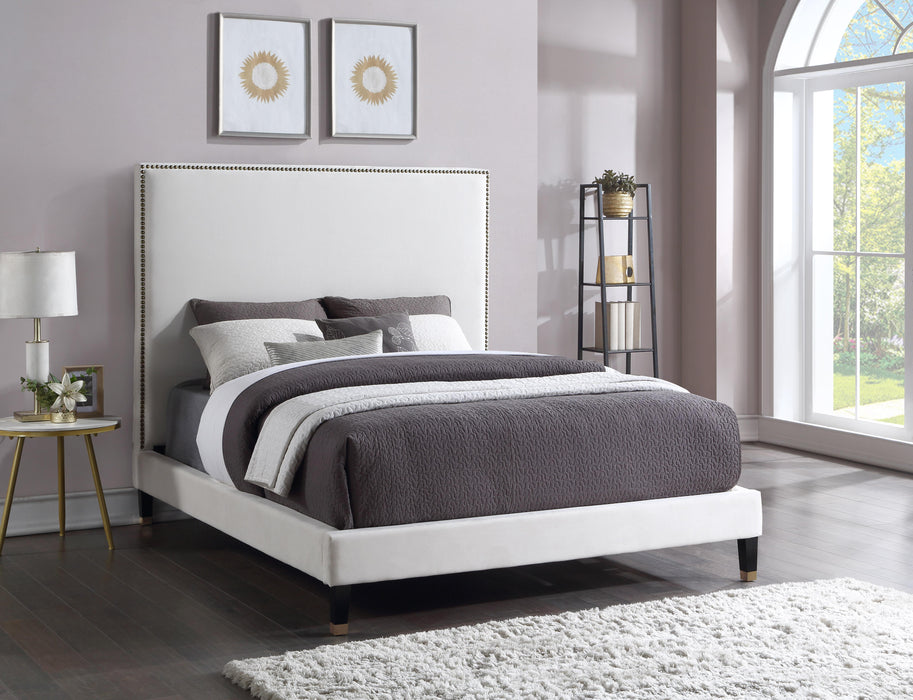 Harlie Cream Velvet King Bed - Furniture Stars (Chicago, IL)