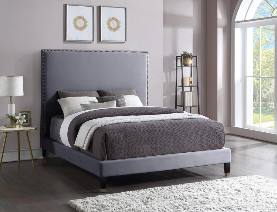 Harlie Grey Velvet Queen Bed - Furniture Stars (Chicago, IL)