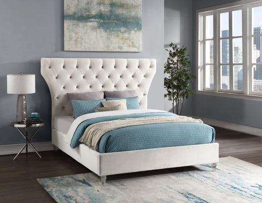 Kira Cream Velvet Queen Bed - Furniture Stars (Chicago, IL)
