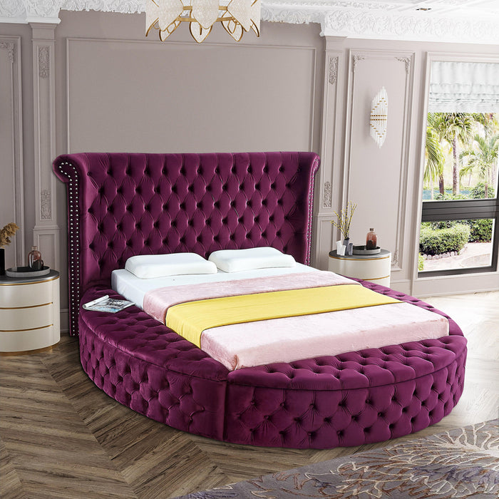 Luxus Purple Velvet Queen Bed - Furniture Stars (Chicago, IL)