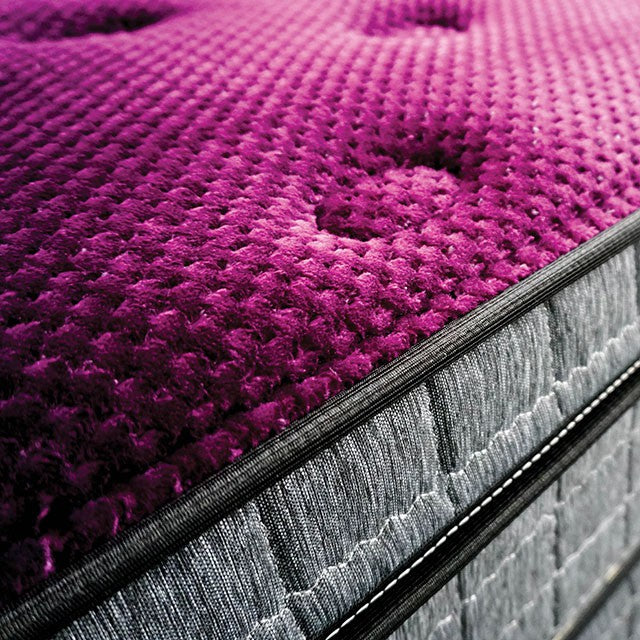 Minnetonka 13" Euro Pillow Top Mattress - Furniture Stars (Chicago, IL)