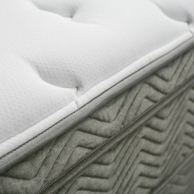 AFTON White/Gray 12" Euro Box Pocket Coil, Queen - Furniture Stars (Chicago, IL)