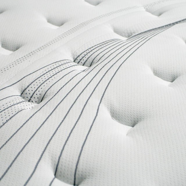 AFTON White/Gray 12" Euro Box Pocket Coil, E.King - Furniture Stars (Chicago, IL)