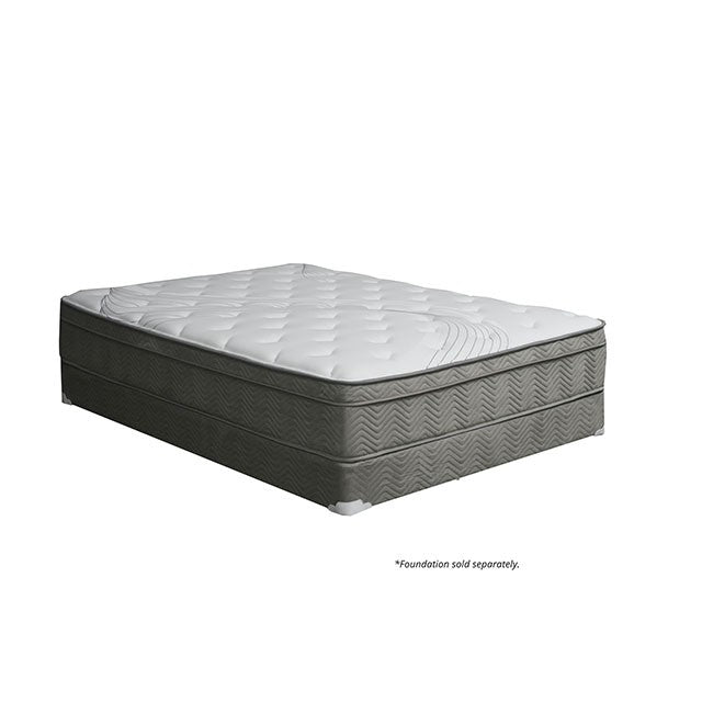 AFTON White/Gray 12" Euro Box Pocket Coil, Queen - Furniture Stars (Chicago, IL)