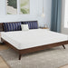 Nasturtium 8" E.King Bamboo Charcoal Infused Memory Foam - Furniture Stars (Chicago, IL)
