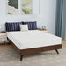 Nasturtium 8" Full Bamboo Charcoal Infused Memory Foam - Furniture Stars (Chicago, IL)