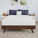 Nasturtium 8" Full Bamboo Charcoal Infused Memory Foam - Furniture Stars (Chicago, IL)