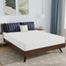 Nasturtium Mattress - Furniture Stars (Chicago, IL)
