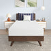 Nasturtium 8" Twin Bamboo Charcoal Infused Memory Foam - Furniture Stars (Chicago, IL)