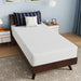 Nasturtium 10" Twin Bamboo Charcoal Infused Memory Foam - Furniture Stars (Chicago, IL)
