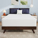 Nasturtium 12" Full Bamboo Charcoal Infused Memory Foam - Furniture Stars (Chicago, IL)