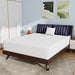 Nasturtium Mattress - Furniture Stars (Chicago, IL)