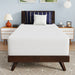 Nasturtium 12" Twin Bamboo Charcoal Infused Memory Foam - Furniture Stars (Chicago, IL)