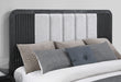 BECKETT WHITE/BLACK QUEEN BED GROUP WITH COOLER & SPEAKER - Furniture Stars (Chicago, IL)