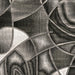 SIVAS 8' X 10' Area Rug - Furniture Stars (Chicago, IL)